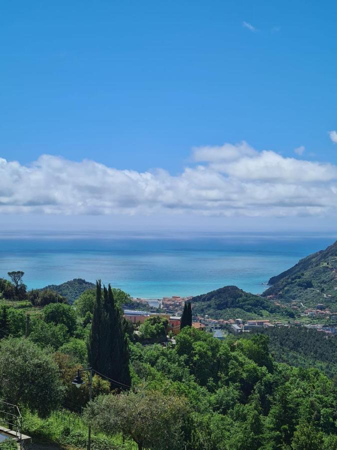 La Casetta Del Casale In Vigna, Cinqueterrecoast Casarza Ligure Exteriör bild
