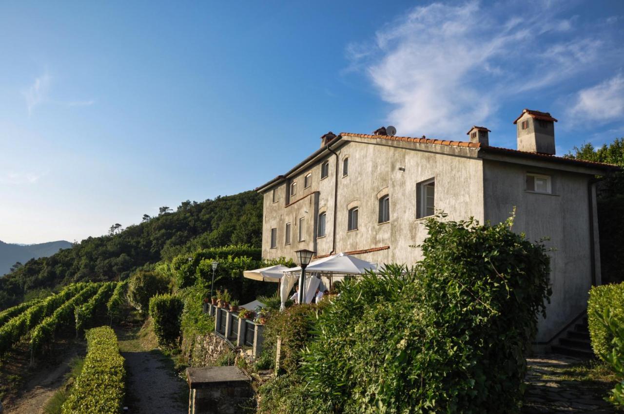 La Casetta Del Casale In Vigna, Cinqueterrecoast Casarza Ligure Exteriör bild